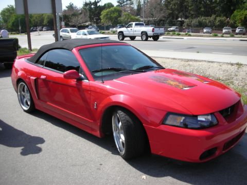 1998 Ford Crown Victoria - red Ford Mustang SVT Cobra convertible with black soft top and chrome wheels parked near a roadway.