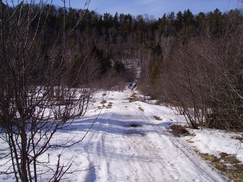 2000 Chevrolet Tahoe - A snowy dirt road winds through a forest with bare trees under a clear blue sky.