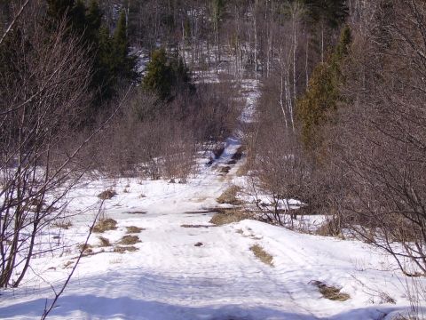2000 Chevrolet Tahoe - A winter scene shows a rough, snow-covered road leading into a wooded area.