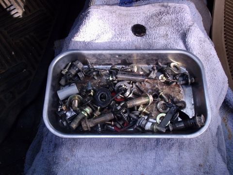 1986 Toyota Pickup/SR5 photo