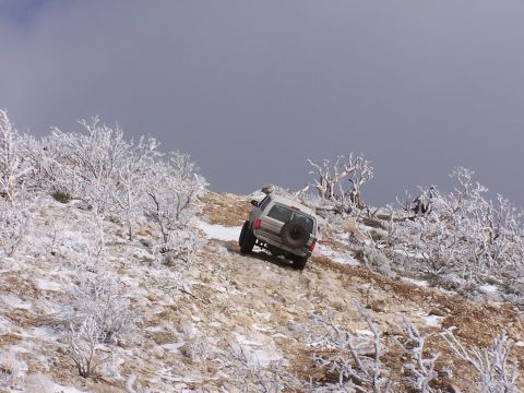 1996 Ford Bronco - SUV navigates a challenging snowy incline amidst frosted vegetation under a cloudy sky.