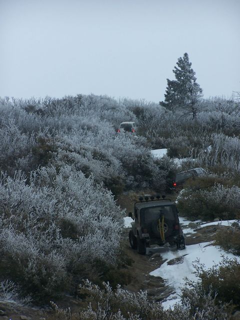 1996 Ford Bronco - Multiple off-road vehicles navigate a challenging snowy trail surrounded by frosted vegetation.
