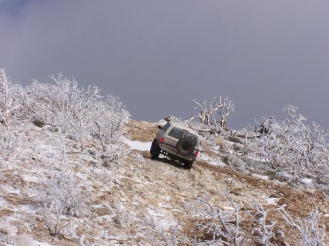 1996 Ford Bronco - A white SUV navigates a challenging, icy incline surrounded by winter-kissed vegetation.