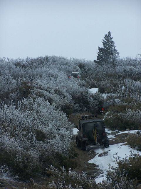 1996 Ford Bronco - Several off-road vehicles navigate a snowy, frosted trail through a wooded area.