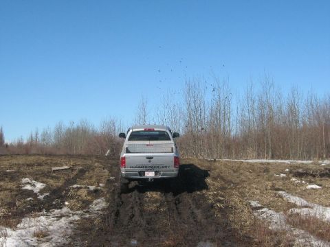 1995 Ford Bronco - A silver pickup truck is stuck in the mud on an off-road trail under a clear blue sky.