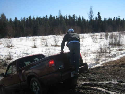 1995 Ford Bronco - A person climbs onto the back of a maroon pickup truck that is stuck in a muddy, snowy area.
