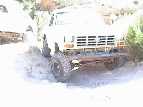 1983 Ford Bronco photo