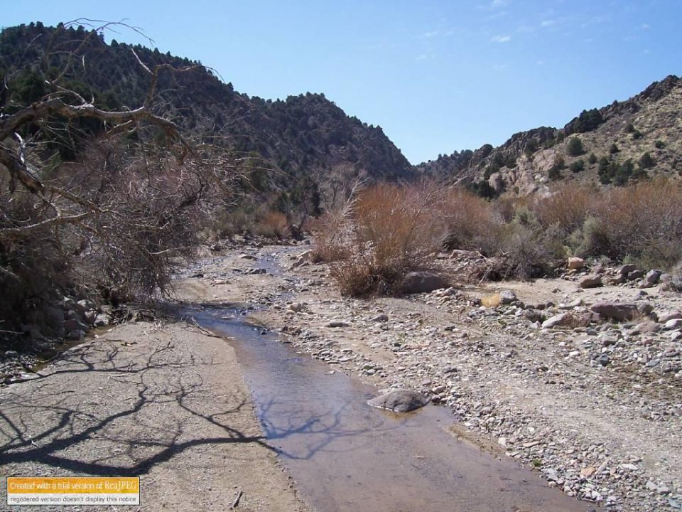 Dry creek bed winding through a desert canyon with sparse vegetation and rocky hillsides under a clear blue sky