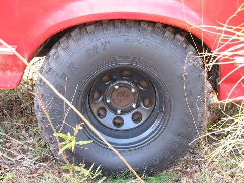 1995 Ford F-150 - Close-up of a red truck's wheel and tire, partially obscured by vegetation.