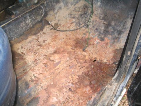 1979 Ford Bronco - Interior floor pan shows significant rust and exposed wiring.