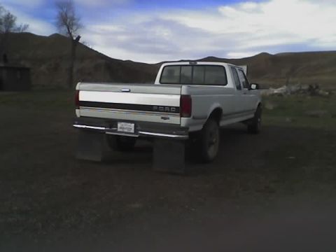 1992 Ford F-250 - Rear view of a 1992 Ford F-250 pickup truck with a silver stripe on the tailgate.