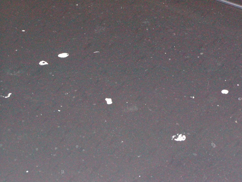 Dark painted hood surface with white paint specks