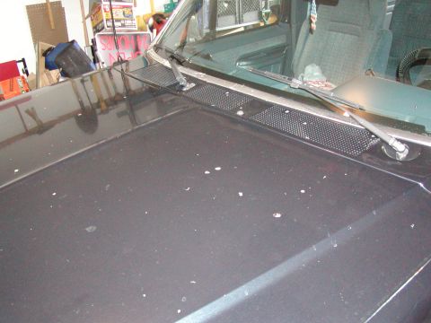1988 Ford Bronco - Yuck