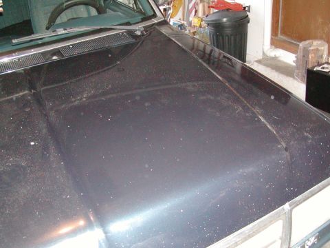 1988 Ford Bronco - Better