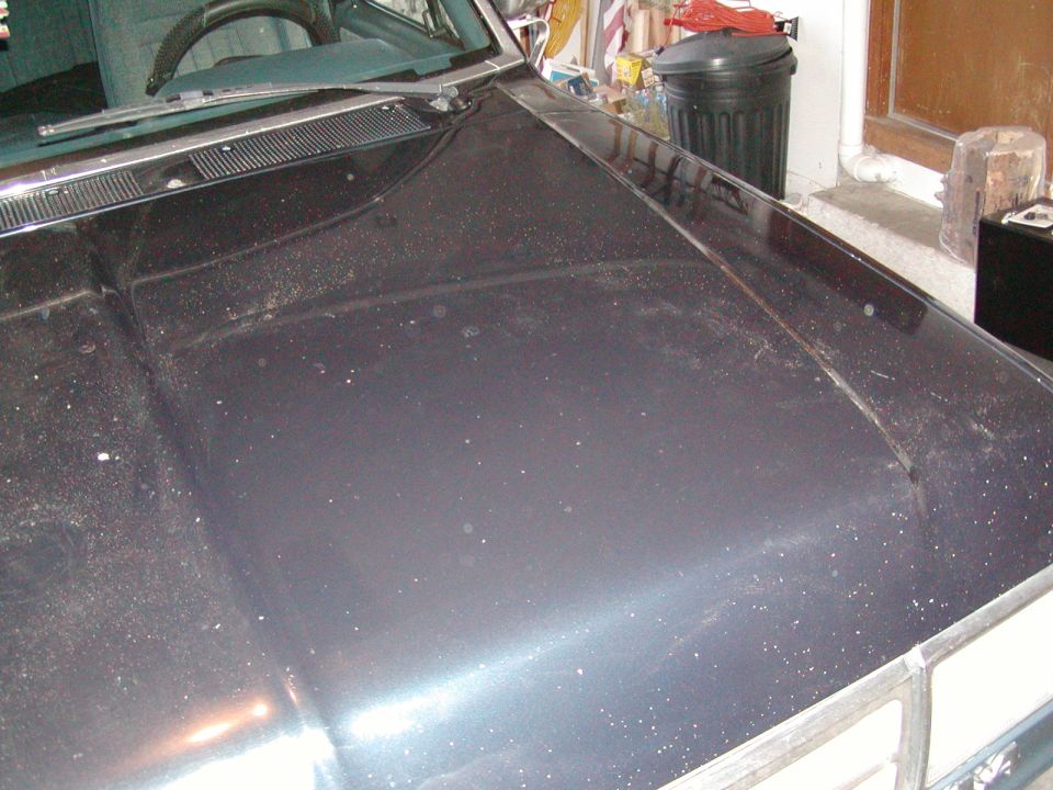 Dark hood of a vehicle in a garage with trash can