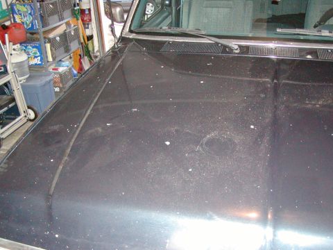 1988 Ford Bronco - Better