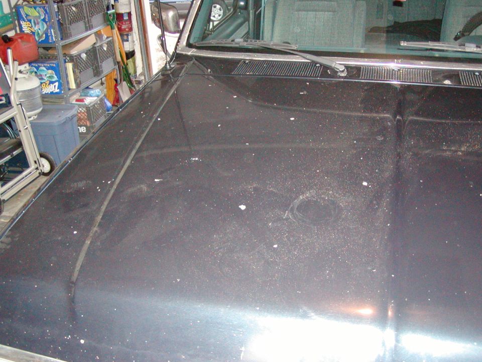 Dark vehicle hood in a garage with storage bins