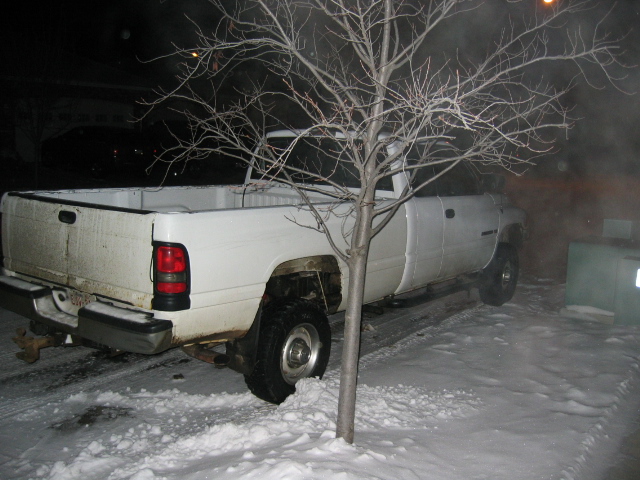 White Dodge 2500 pickup truck parked in snow at night, with a bare tree in front of it