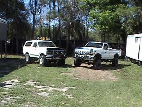 1986 Ford Bronco - Two lifted 1980s Ford trucks, a Bronco and a pickup, are parked on a grassy area near trees.
