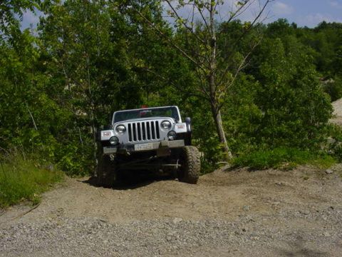 1992 Ford Bronco - A silver Jeep Wrangler navigates a dirt path surrounded by lush green trees.
