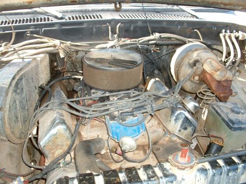 1978 Ford Bronco - what my engine looked like after wheelin in rausch creek