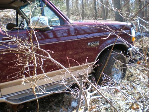 1996 Ford Bronco - A maroon 1996 Ford Bronco with tan trim is partially obscured by branches in a wooded area.