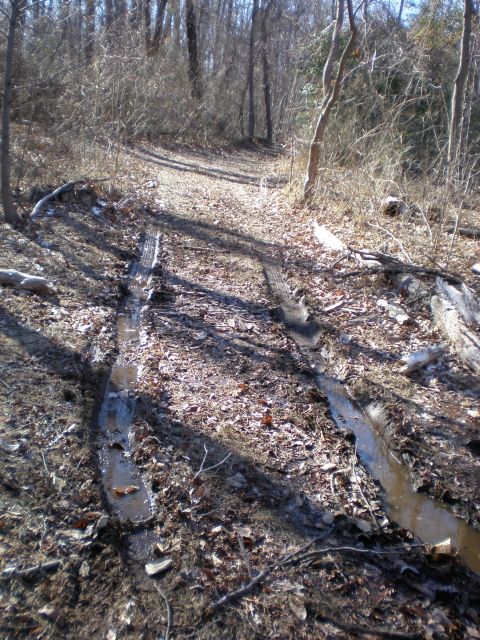 1996 Ford Bronco - Tire tracks mark a path through a muddy, wooded area with bare trees.