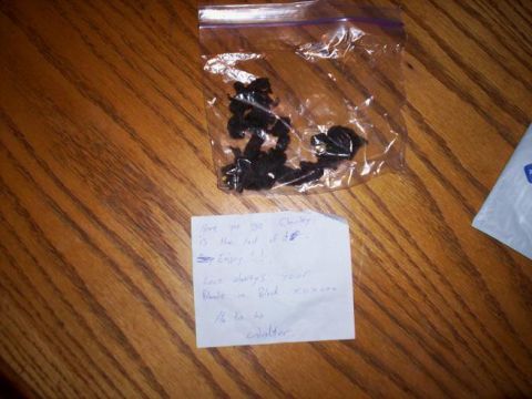 1989 Ford Bronco - A bag of small black objects and a handwritten note from Walter.