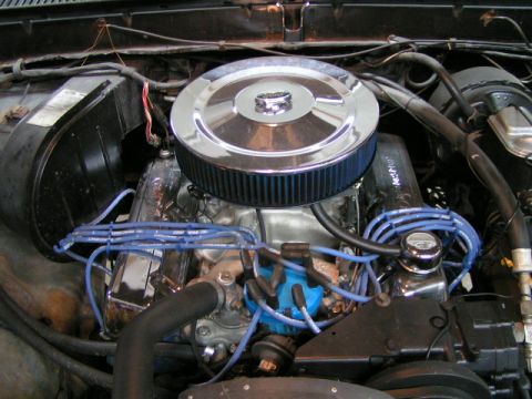 1979 Ford Bronco photo