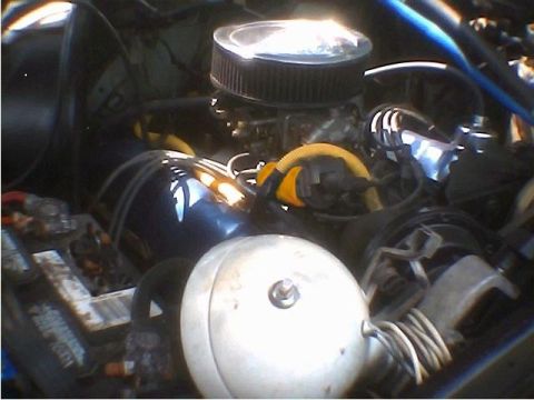 1979 Ford F-150 photo