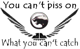2006 Ford E350 - A graphic wings, a cougar head emblem, and a defiant slogan.