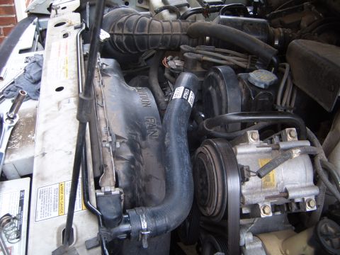 1997 Ford Ranger - Close-up view of the engine bay components, including the radiator fan and coolant hoses.