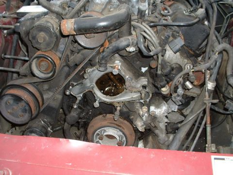 1989 Ford Thunderbird - Close-up view of a vehicle's engine, showing mechanical components and wiring.