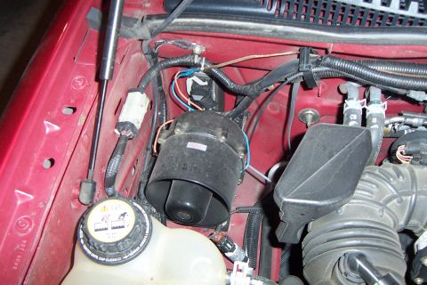 2005 Ford Explorer - This image shows a close-up view of various engine bay components, including hoses and wiring.