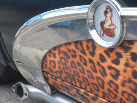 1996 Ford Bronco - A close-up of a car's exterior shows chrome accents, a leopard print panel, and a pin-up girl decal.
