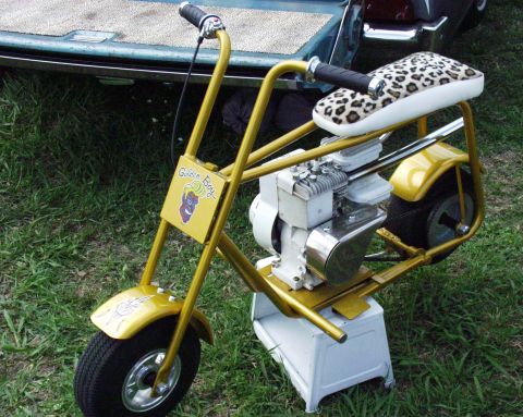 1996 Ford Bronco - A gold mini bike with a leopard print seat and a cartoon devil decal is displayed outdoors.