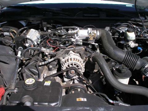 2001 Ford Crown Victoria - One year's worth of grime.