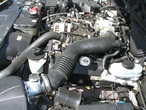 2001 Ford Crown Victoria - The engine compartment of a 2001 Ford Crown Victoria, its V8 engine and associated parts.