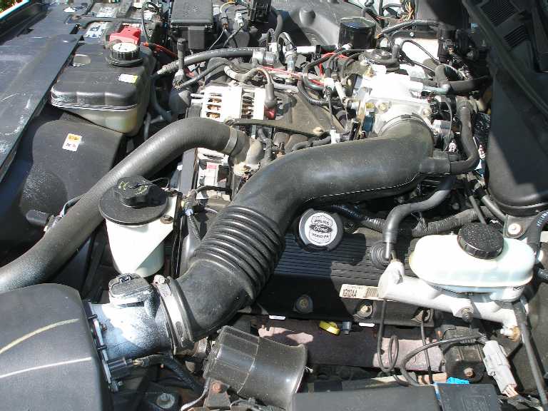 Ford V8 engine bay with black intake tube, oil fill cap and brake master cylinder reservoir