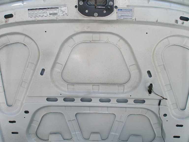 The hood's underside. Probably never washed.