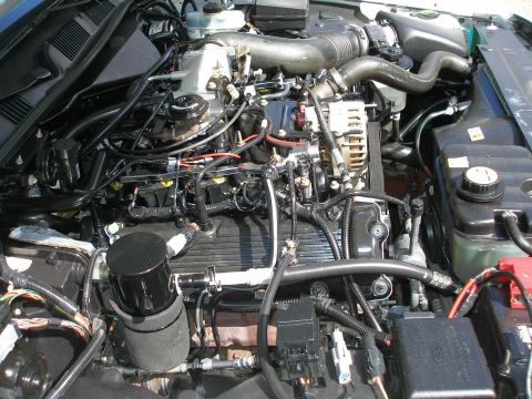 2001 Ford Crown Victoria - Engine bay of a 2001 Ford Crown Victoria, showing various hoses, wires, and mechanical parts.