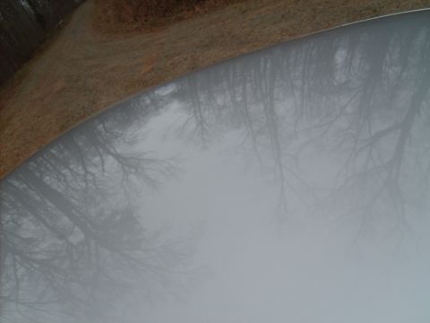 2004 Ford Crown Victoria - The reflection of bare trees and a cloudy sky is visible on the smooth surface of a car's hood.