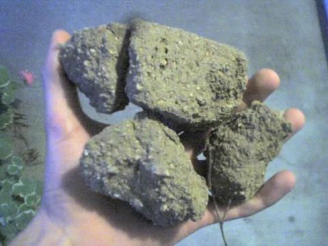 1989 Ford Bronco - Chunks of now dirt from my truck!