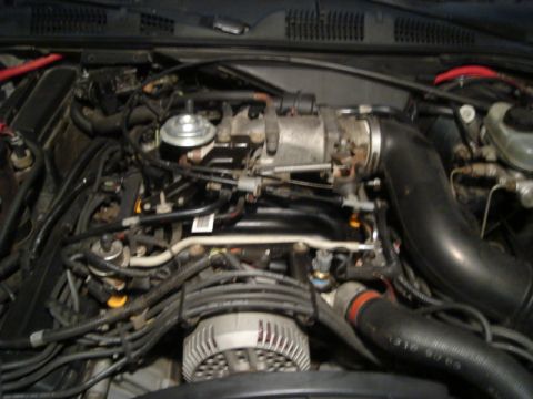 1992 Ford Crown Victoria - Close-up view of a vehicle's engine bay, showing various components and wiring.