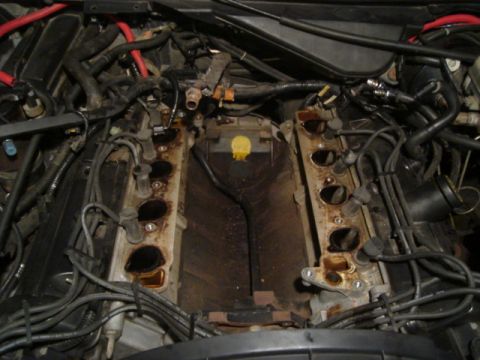 1992 Ford Crown Victoria - Engine bay with intake manifold removed, revealing internal components and wiring.