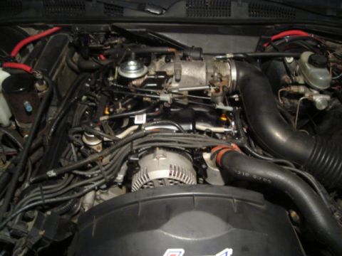 1992 Ford Crown Victoria - Close-up view of the engine bay, showing various components and wiring.