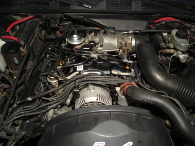 Engine bay with visible alternator and intake manifold