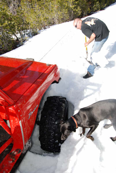 1989 Ford Bronco - A man digs a red 1989 Ford Bronco out of the snow with a dog watching.
