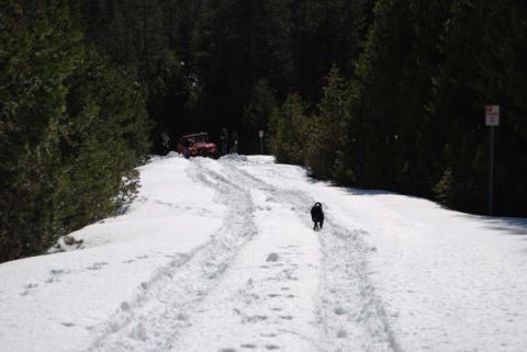 1989 Ford Bronco - A red off-road vehicle navigates a snowy path with a dog nearby.