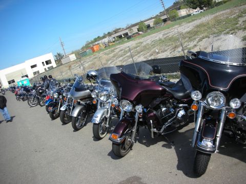 1998 Ford Crown Victoria - A line of motorcycles are parked on pavement under a clear blue sky.